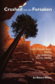 portada Crushed but not Forsaken: God's Promises to the Widow, the Fatherless, and the Hurting (in English)
