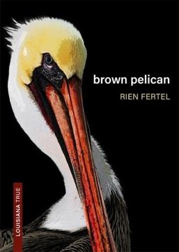 portada Brown Pelican (in English)