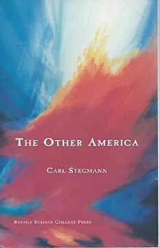 portada The Other America (in English)