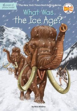 portada What was the ice Age? (en Inglés)