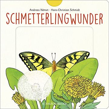 portada Schmetterlingwunder: Ab 2 Jahren: Wie Wächst ein Schmetterling? Zum Schieben, Klappen und Staunen Schmidt, Hans-Christian and Német, Andreas (en Alemán)