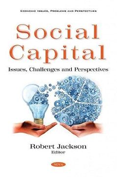 portada Social Capital: Issues, Challenges and Perspectives (en Inglés)