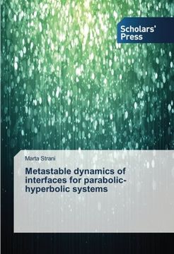 portada Metastable Dynamics of Interfaces for Parabolic-Hyperbolic Systems