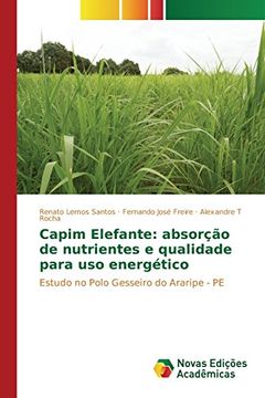 portada Capim Elefante: absorção de nutrientes e qualidade para uso energético