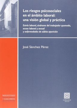 portada Los Riesgos Psicosociales en el Ámbito Laboral: Una Visión Global y Práctica (in Spanish)