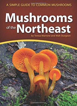 portada Mushrooms of the Northeast: A Simple Guide to Common Mushrooms (Mushroom Guides) (en Inglés)