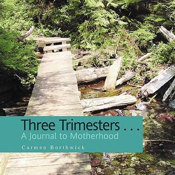 portada three trimesters ... a journal to motherhood (in English)