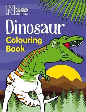 portada Dinosaur Colouring Book (in English)