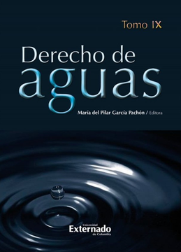 portada DERECHO DE AGUAS TOMO IX (in Spanish)