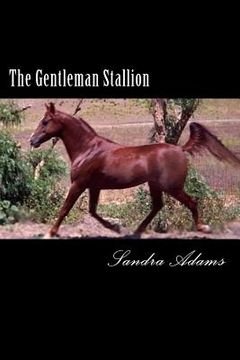 portada The Gentleman Stallion (en Inglés)