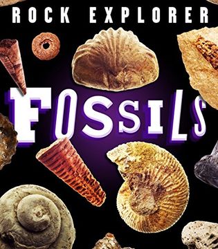 portada Rock Explorer: Fossils