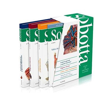 portada Sobotta. Atlas de Anatomía Humana. 3 Vols. 24ª ed. Estuche +Tablas de Músculos (in Spanish)