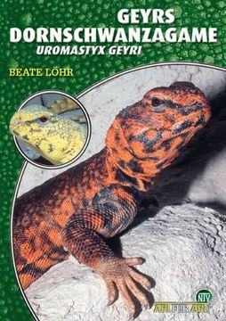portada Geyrs Dornschwanzagame: Uromastyx geyri (in German)