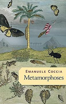 portada Metamorphoses (in English)