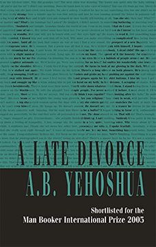 portada A Late Divorce (en Inglés)