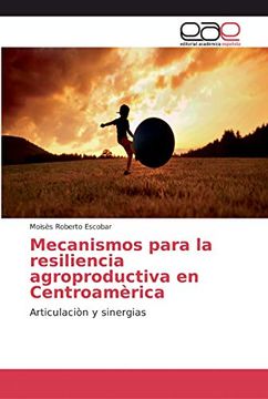 portada Mecanismos Para la Resiliencia Agroproductiva en Centroamèrica: Articulaciòn y Sinergias