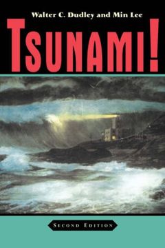 tsunami!