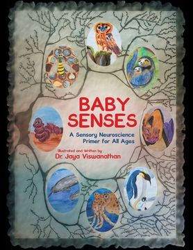 portada Baby Senses: A Sensory Neuroscience Primer for All Ages (in English)