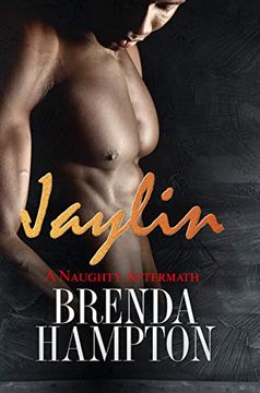 portada Jaylin: A Naughty Aftermath: Naughty Series (in English)