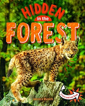 portada Animals Hidden in the Forest (en Inglés)