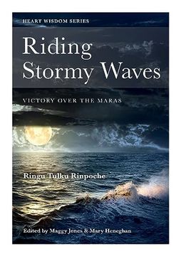 portada Riding Stormy Waves: Victory over the Maras (en Inglés)