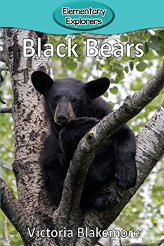 portada Black Bears (Elementary Explorers) (en Inglés)