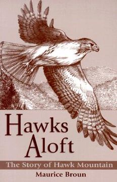 portada hawks aloft: the story of hawk mountain (en Inglés)