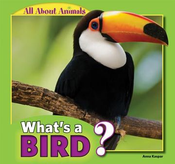 portada what's a bird? (en Inglés)
