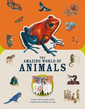 portada Paperscapes: The Amazing World of Animals: Turn This Book Into a Wildlife Work of art (en Inglés)