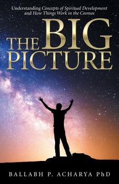 portada The Big Picture: Understanding Concepts of Spiritual Development and How Things Work in the Cosmos (en Inglés)