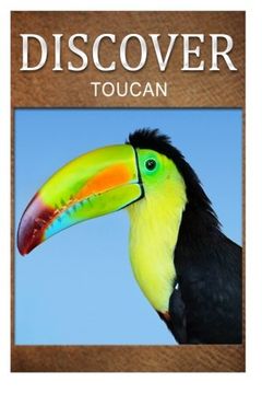 portada Toucan - Discover: Early reader's wildlife photography book