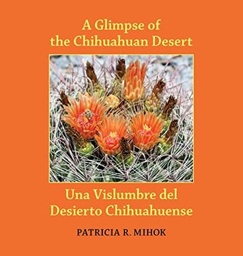 portada A Glimpse of the Chihuahuan Desert/Una Vislumbre del Desierto Chihuahuense