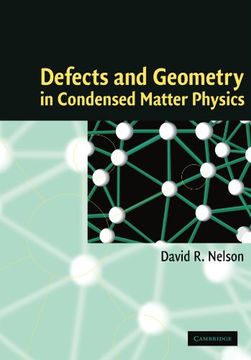 portada Defects and Geometry in Condensed Matter Physics (en Inglés)