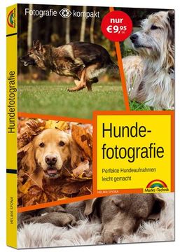 portada Hundefotografie - das Perfekte Hunde Foto (en Alemán)