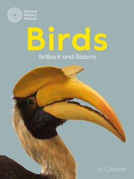 portada Birds: Brilliant and Bizarre (en Inglés)