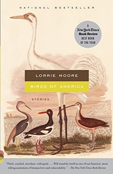 portada Birds of America: Stories (Vintage Contemporaries) (in English)