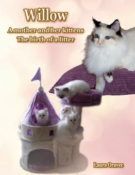 portada Willow: A mother and her kittens: The Birth of a Litter (in English)