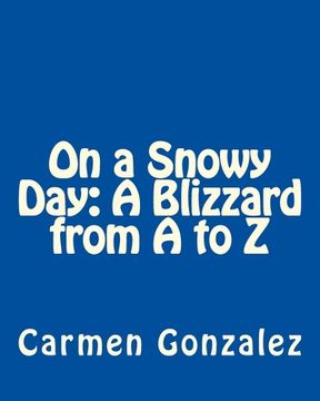 portada On a Snowy Day: A Blizzard from A to Z (in English)