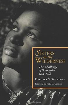 portada Sisters in the Wilderness: The Challenge of Womanist God-Talk (en Inglés)