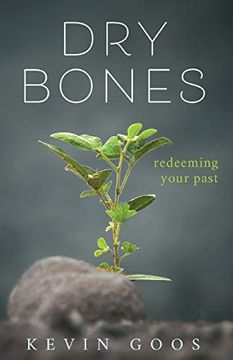 portada Dry Bones: Redeeming Your Past (in English)