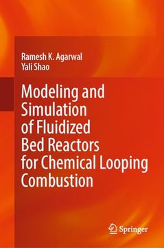 portada Modeling and Simulation of Fluidized Bed Reactors for Chemical Looping Combustion (en Inglés)