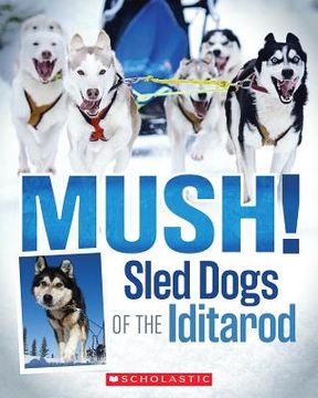 portada mush!: sled dogs of the iditarod