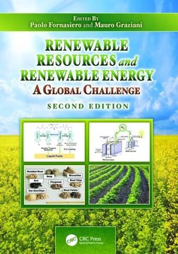 portada Renewable Resources and Renewable Energy: A Global Challenge, Second Edition (en Inglés)