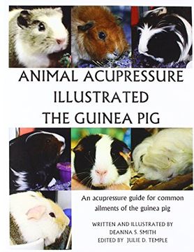portada Animal Acupressure Illustration the Guinea pig 