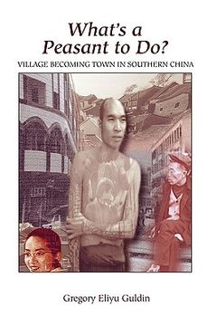 portada what's a peasant to do? village becoming town in southern china (in English)