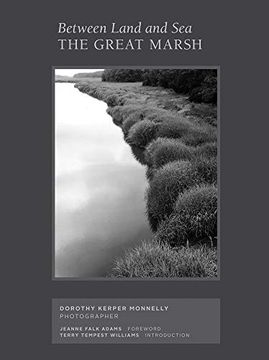 portada Between Land and Sea: The Great Marsh: Photographs by Dorothy Kerper Monnelly (in English)