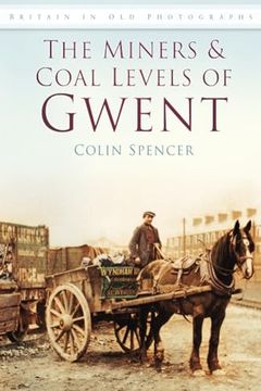 portada The Miners and Coal Levels of Gwent (en Inglés)