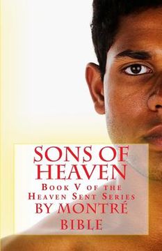 portada Sons of Heaven (en Inglés)