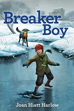 portada Breaker boy (en Inglés)