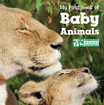 portada My First Book of Baby Animals (National Wildlife Federation) (in English)